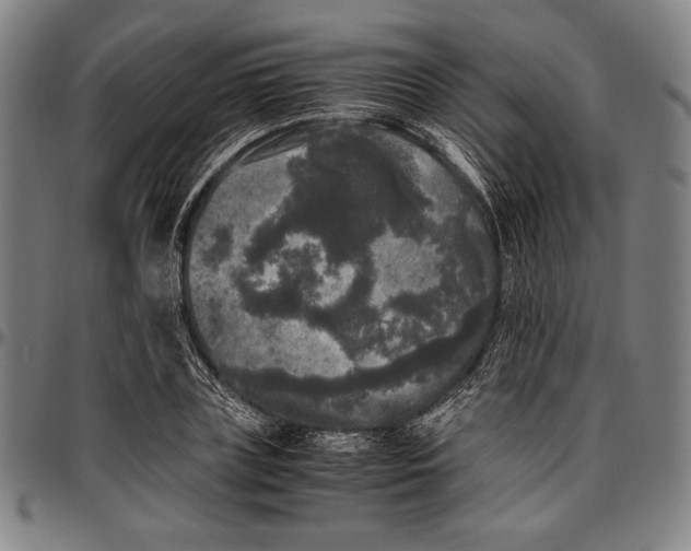 X0000097000835200802291145