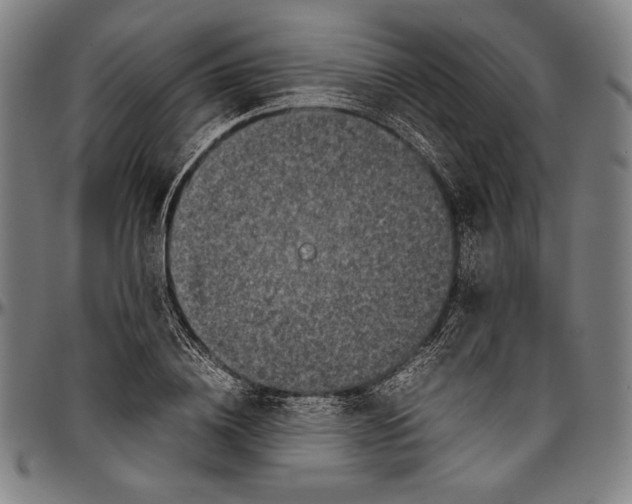 X0000097000836200802291145