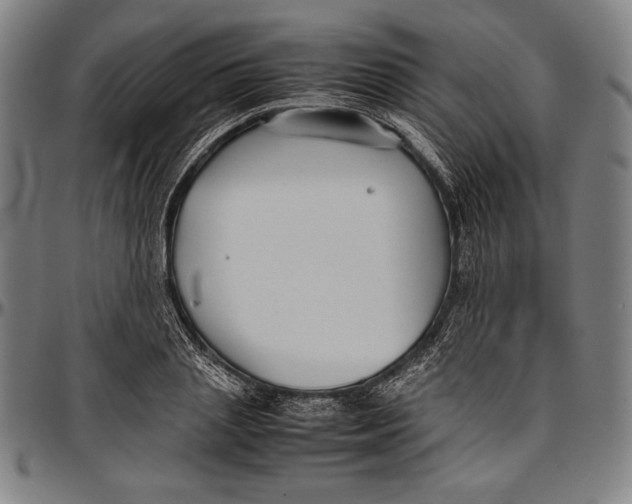 X0000097000837200802291145