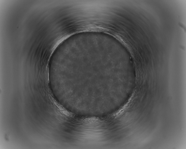 X0000097000838200802291145