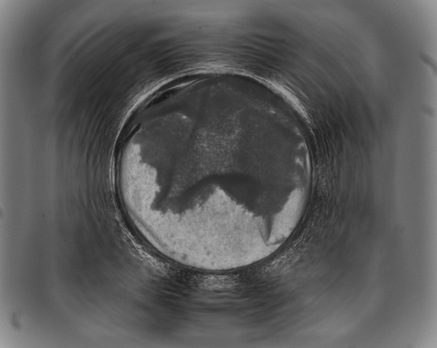 X0000097000839200802291145