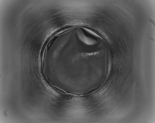 X0000097000840200802291145