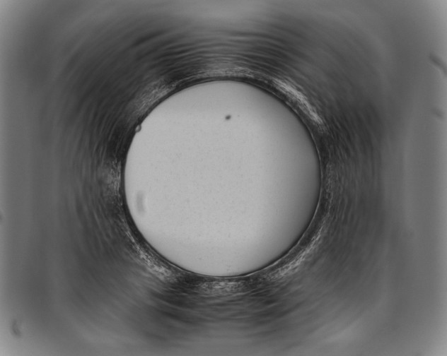 X0000097000841200802291145