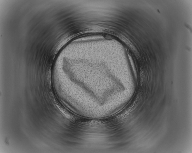 X0000097000842200802291145