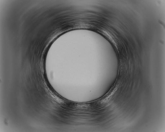 X0000097000843200802291145