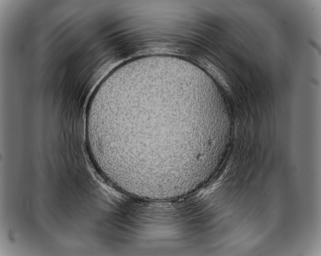 X0000097000844200802291145