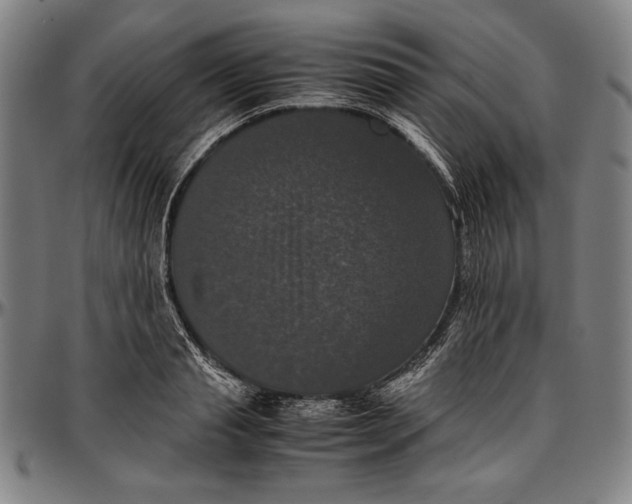 X0000097000845200802291145