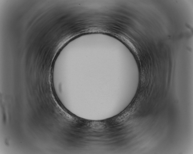 X0000097000847200802291145