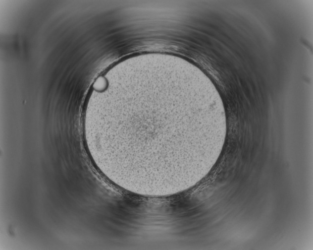 X0000097000848200802291145