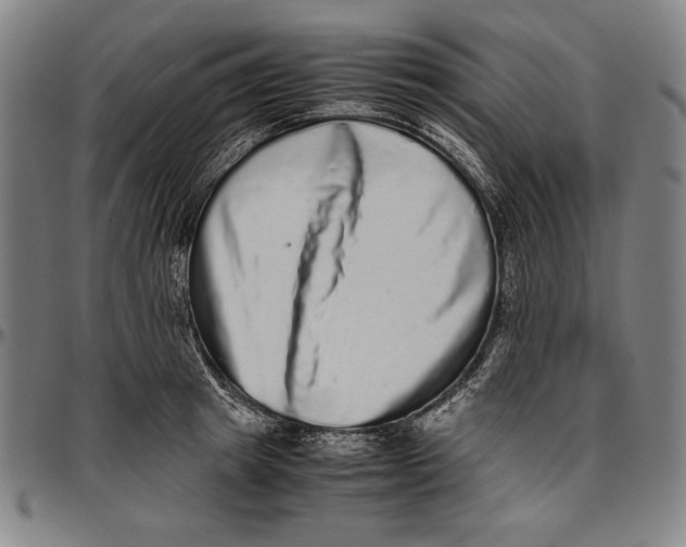 X0000097000849200802291145