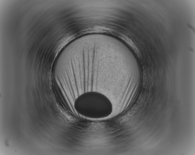 X0000097000850200802291145