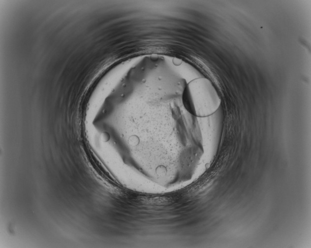 X0000097000851200802291145