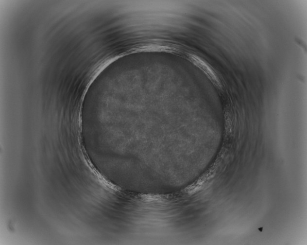 X0000097000852200802291146