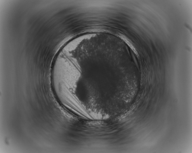 X0000097000853200802291146