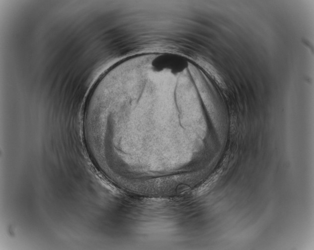 X0000097000854200802291146