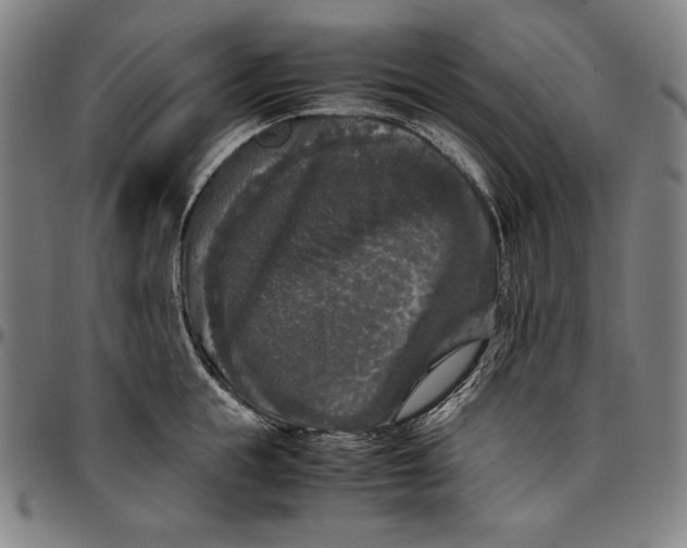 X0000097000855200802291146