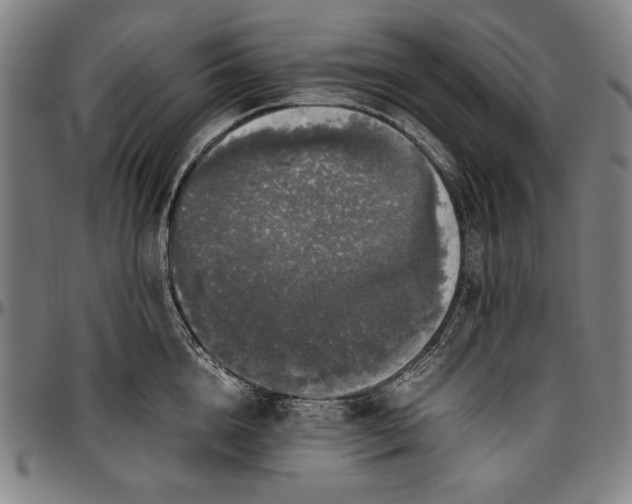 X0000097000856200802291146