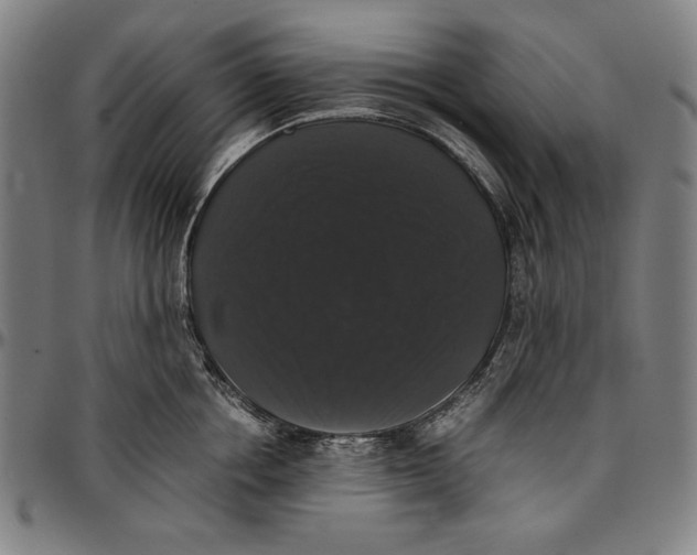 X0000097000858200802291146