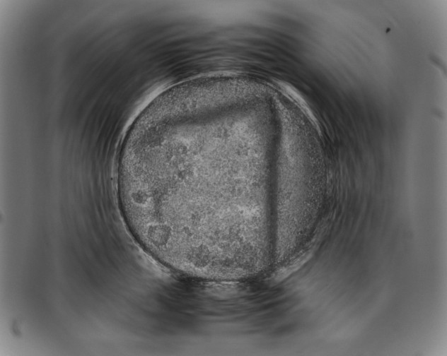 X0000097000859200802291146