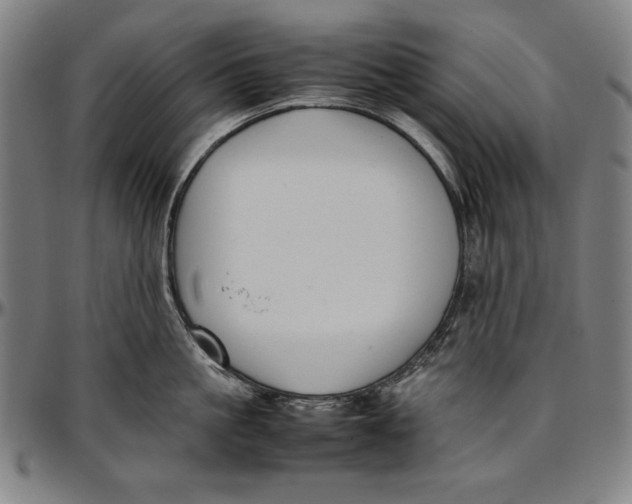 X0000097000861200802291146