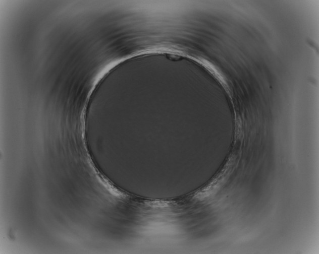 X0000097000862200802291146