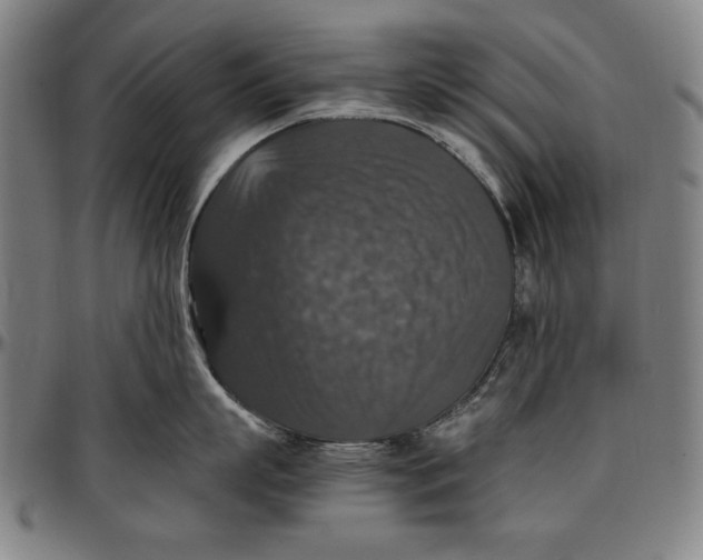 X0000097000863200802291146