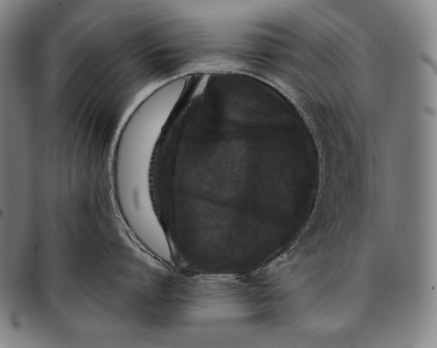 X0000097000864200802291146