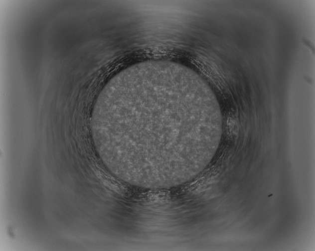 X0000097000865200802291145