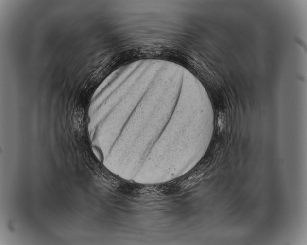 X0000097000867200802291145