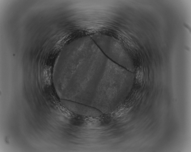 X0000097000868200802291145