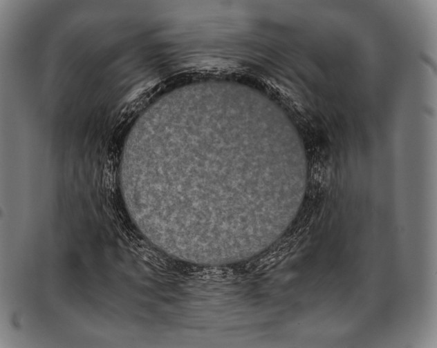 X0000097000869200802291145