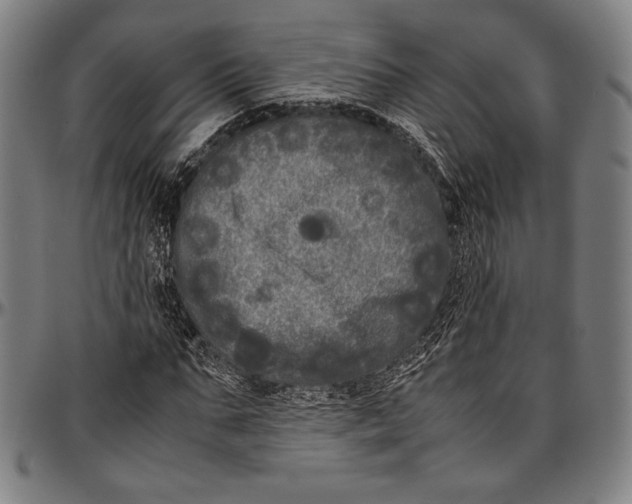 X0000097000871200802291145