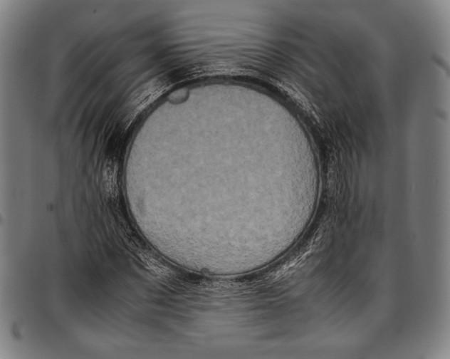 X0000097000873200802291145