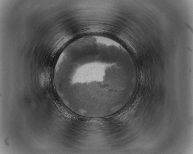 X0000097000874200802291145