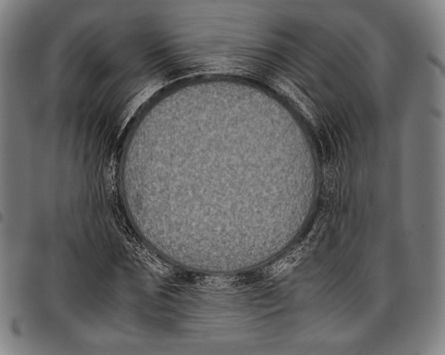 X0000097000875200802291145