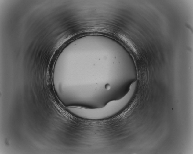 X0000097000876200802291145