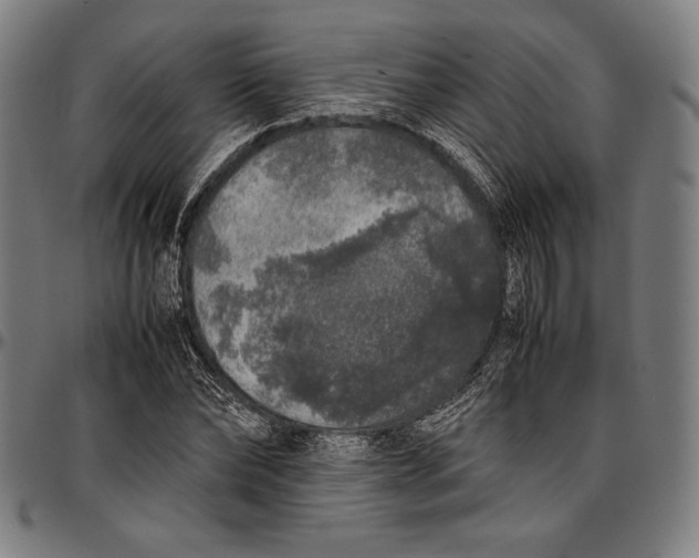 X0000097000878200802291145