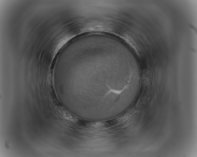 X0000097000879200802291145