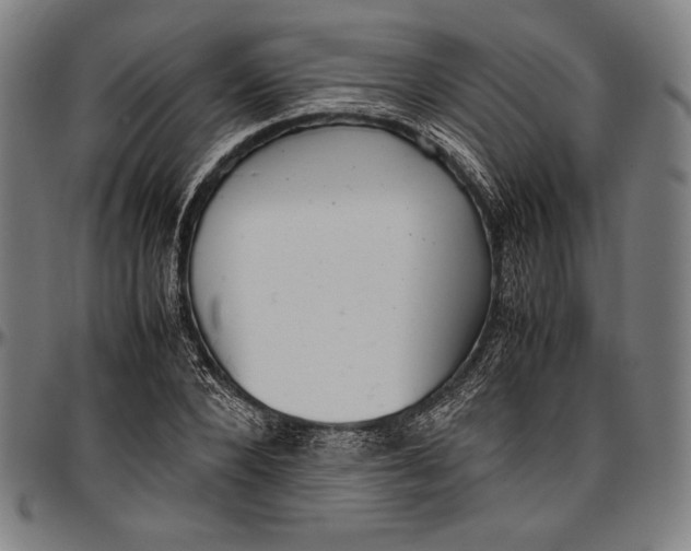 X0000097000880200802291145