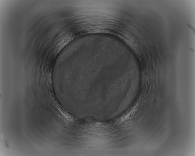 X0000097000881200802291145