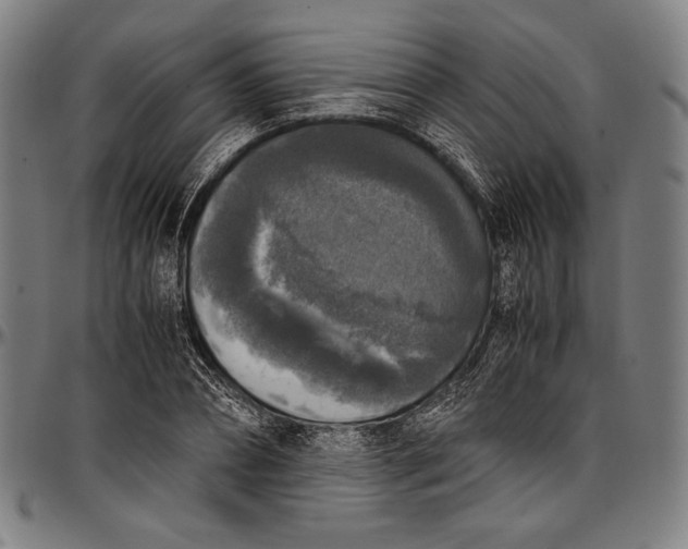 X0000097000882200802291145