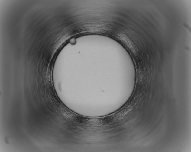 X0000097000883200802291145