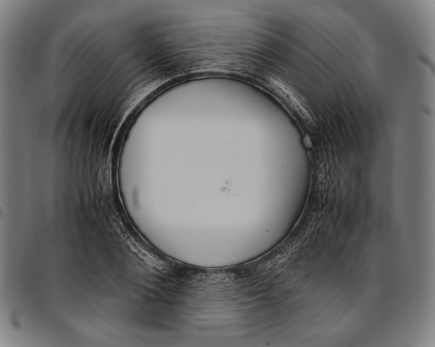 X0000097000884200802291145