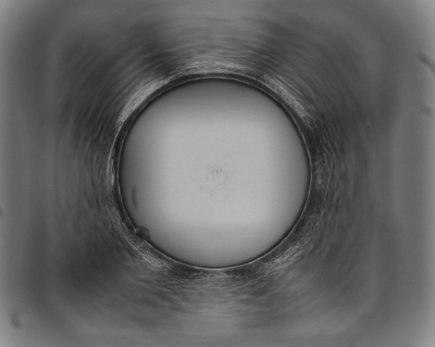 X0000097000885200802291145