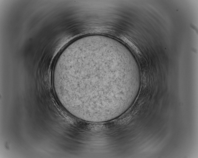 X0000097000886200802291145