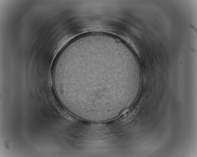 X0000097000887200802291145