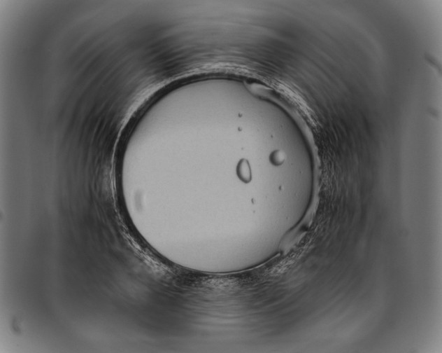 X0000097000888200802291145