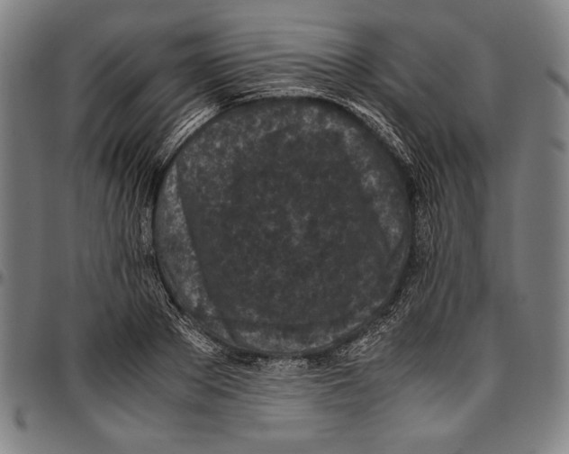 X0000097000889200802291145