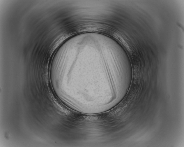 X0000097000890200802291145