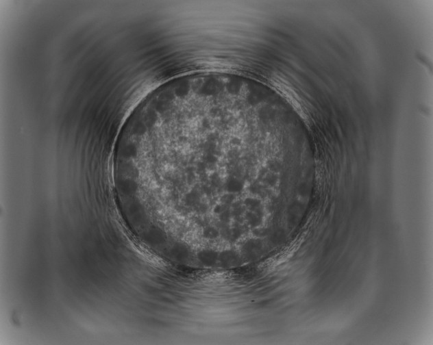 X0000097000891200802291144